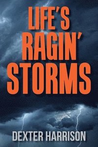 bokomslag Life's Ragin' Storms