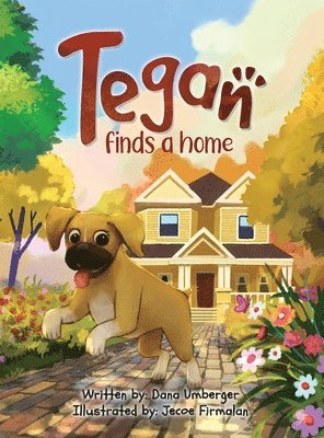 bokomslag Tegan Finds a Home