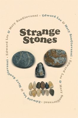 bokomslag Strange Stones