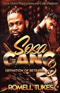bokomslag Sosa Gang 3