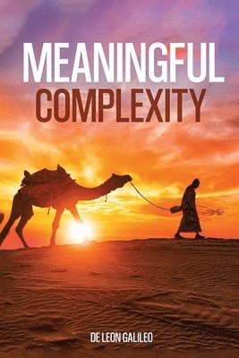 bokomslag Meaningful Complexity