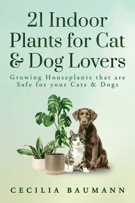 21 Indoor Plants for Cat & Dog Lovers 1