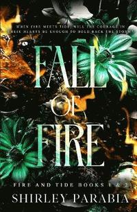 bokomslag Fall of Fire