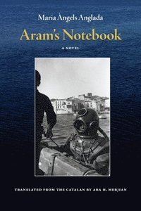 bokomslag Aram's Notebook