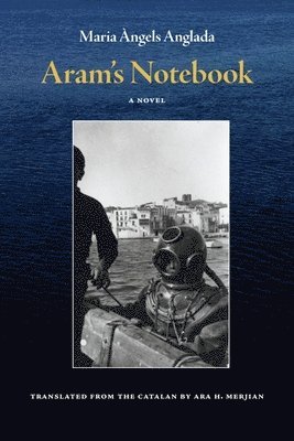 Aram's Notebook 1