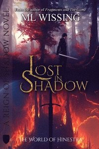 bokomslag Lost in Shadow