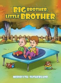 bokomslag Big Brother, Little Brother