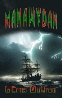 bokomslag Manawydan