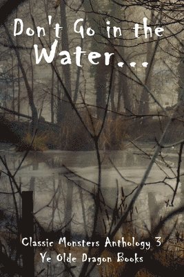 Deborah C Smith, Rachel Dib, Etta-Tamera Wilson, Deborah C. Smith - Don't Go In the Water, Häftad