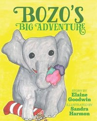 bokomslag Bozo's Big Adventure