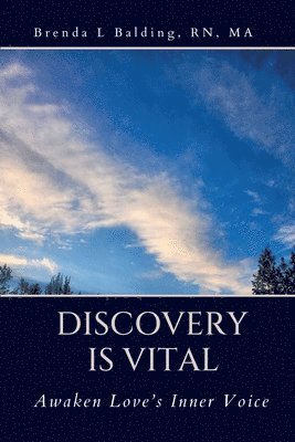 bokomslag Discovery is Vital