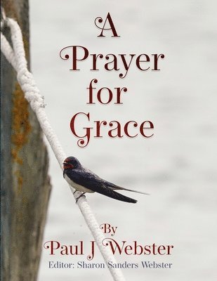 bokomslag A Prayer for Grace