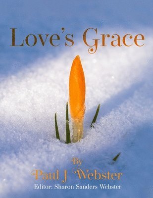 bokomslag Love's Grace