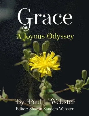 Paul J Webster - Grace - A Joyous Odyssey, Häftad. Tillgänglighet: Lägg i varukorg