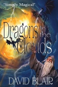 bokomslag Dragons In The Clouds