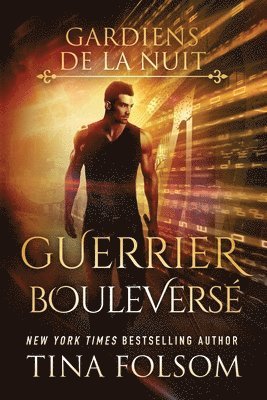 bokomslag Guerrier Bouleversé (Les Gardiens de la Nuit - Tome 3)