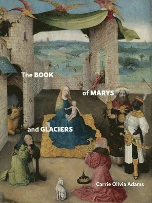 Carrie Olivia Adams - The Book of Marys and Glaciers, Häftad