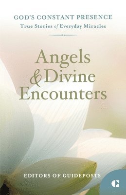 bokomslag Angels & Divine Encounters