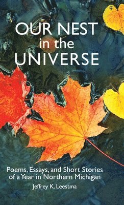 Jeffrey K Leestma - Our Nest in the Universe, Inbunden