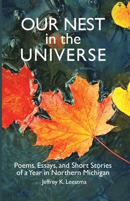Jeffrey K Leestma - Our Nest in the Universe, Häftad
