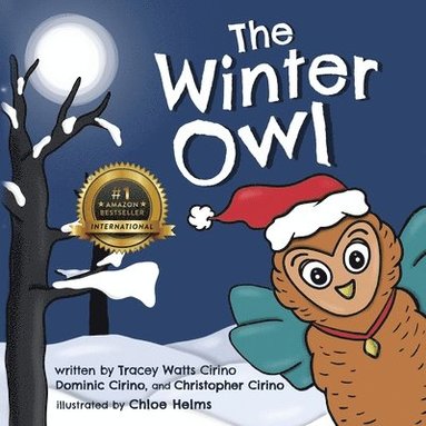 bokomslag The Winter Owl