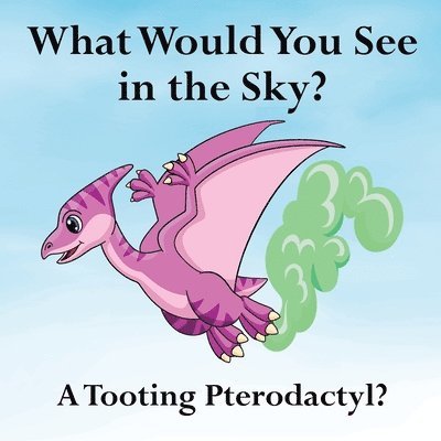 What Would You See in the Sky? 1
