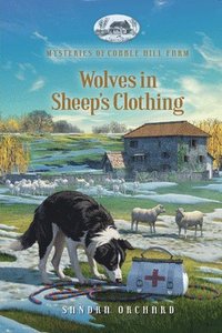 bokomslag Wolves in Sheep's Clothing