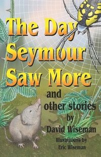 bokomslag The Day Seymour Saw More and Other Stories