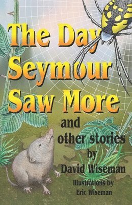 David Wiseman - Day Seymour Saw More and Other Stories, Häftad