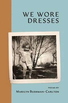 bokomslag We Wore Dresses