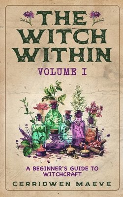 bokomslag The Witch Within, Volume I