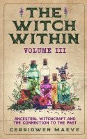 bokomslag The Witch Within, Volume III