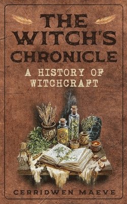 bokomslag The Witch's Chronicle