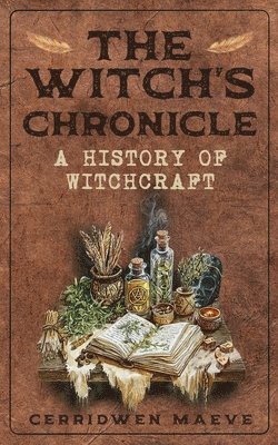 bokomslag Witch's Chronicle