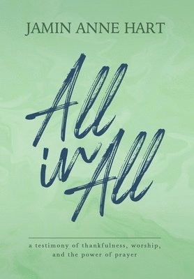 bokomslag All In All