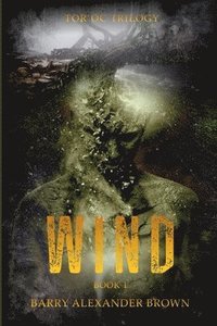 bokomslag Wind