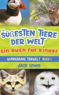 bokomslag Die sesten Tiere der Welt Ein Buch fr Kinder