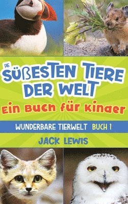 Jack Lewis - süßesten Tiere der Welt Ein Buch für Kinder, Inbunden