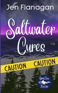 bokomslag Saltwater Cures