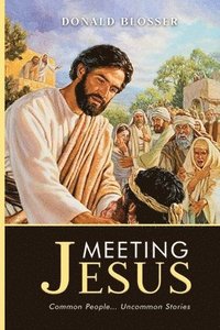 bokomslag Meeting Jesus