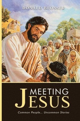 bokomslag Meeting Jesus
