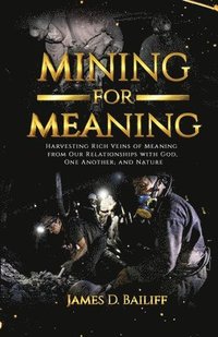 bokomslag Mining for Meaning