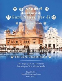 bokomslag Guru Nanak Dev Ji