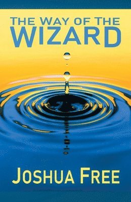 Way of the Wizard