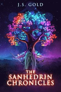 bokomslag The Sanhedrin Chronicles