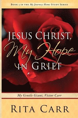 bokomslag Jesus Christ, My Hope in Grief