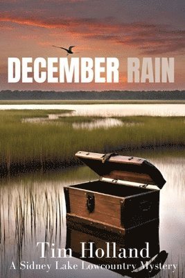 December Rain 1