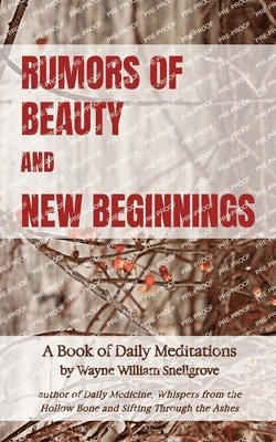 bokomslag Rumors of Beauty and New Beginnings