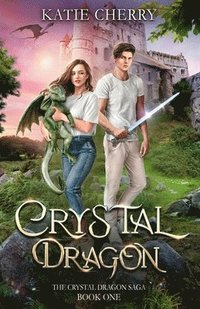 bokomslag Crystal Dragon