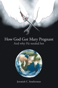 bokomslag How God Got Mary Pregnant